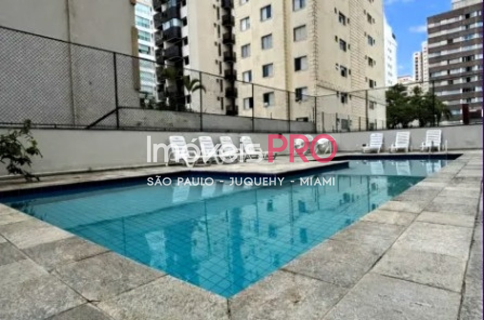Foto :: IP39156