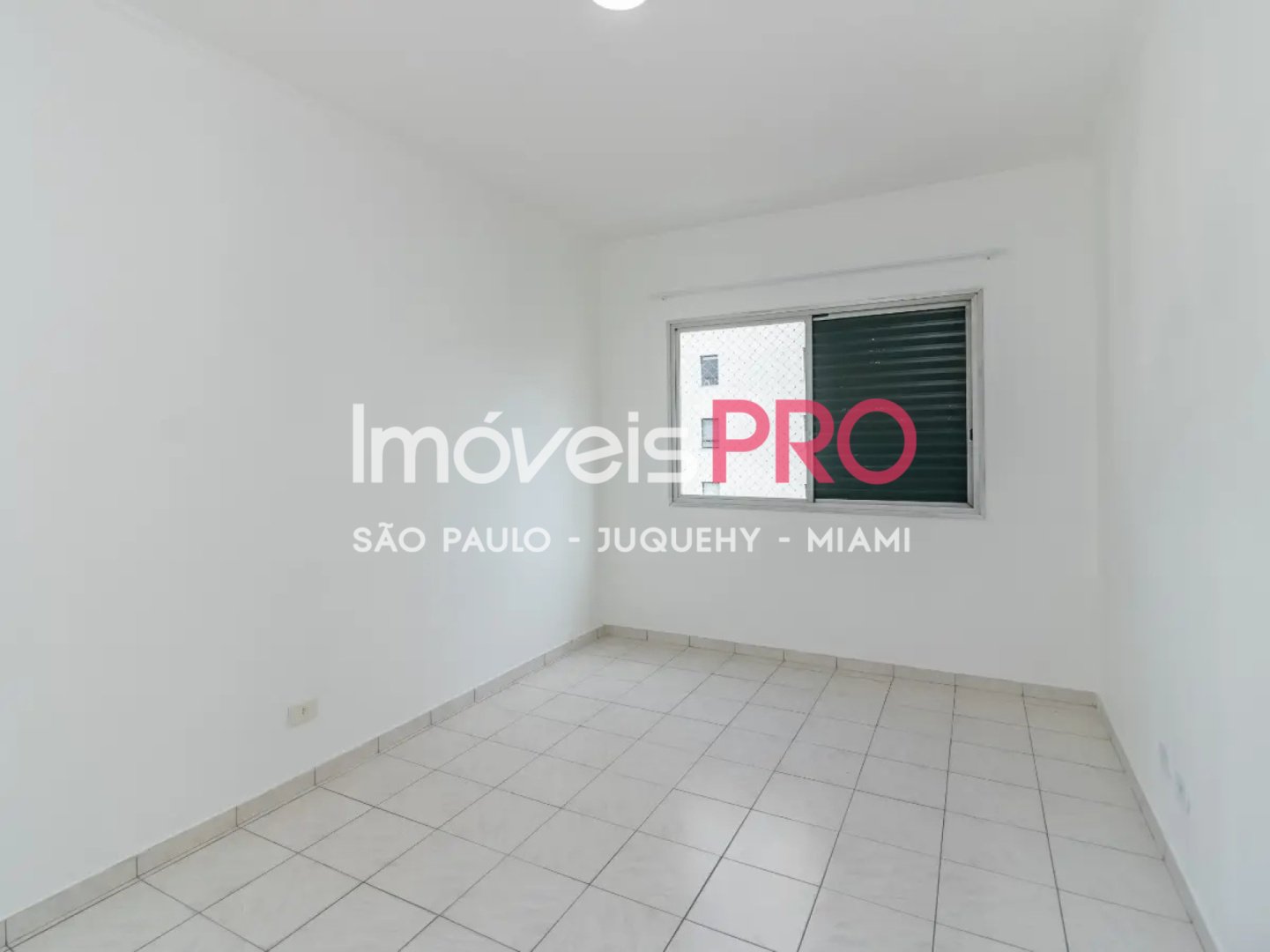 Foto :: IP39156