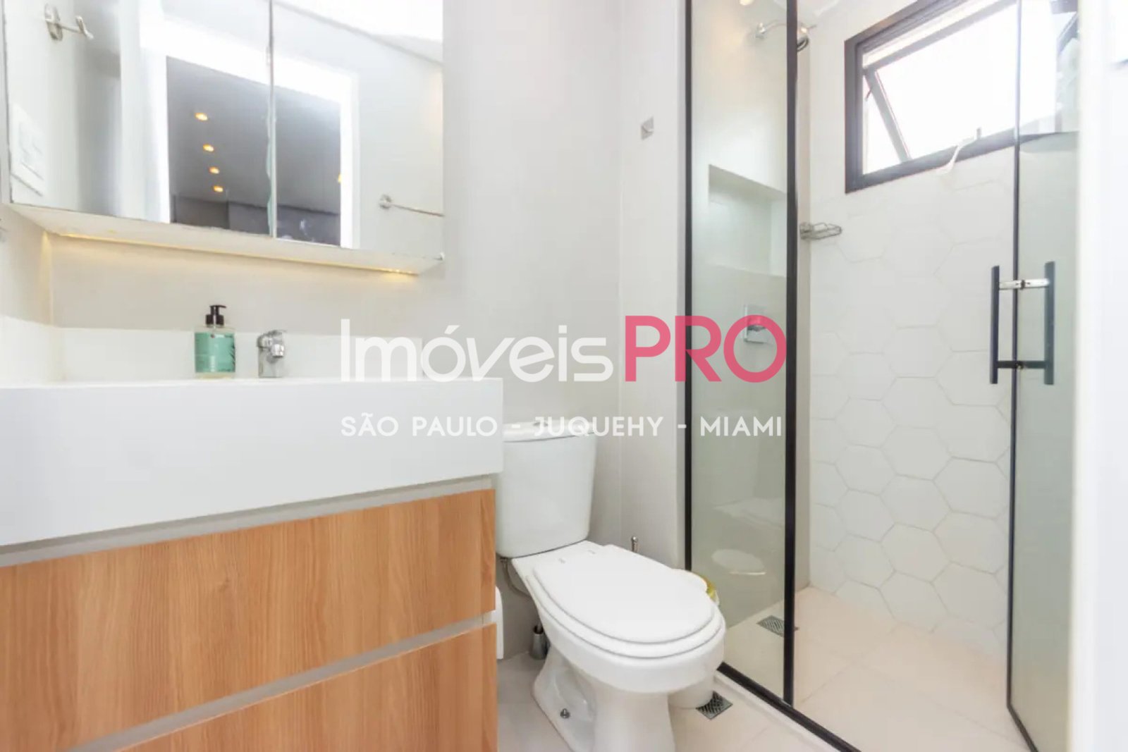 Foto :: IP39157