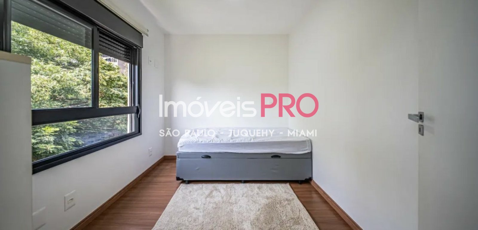 Foto :: IP39159