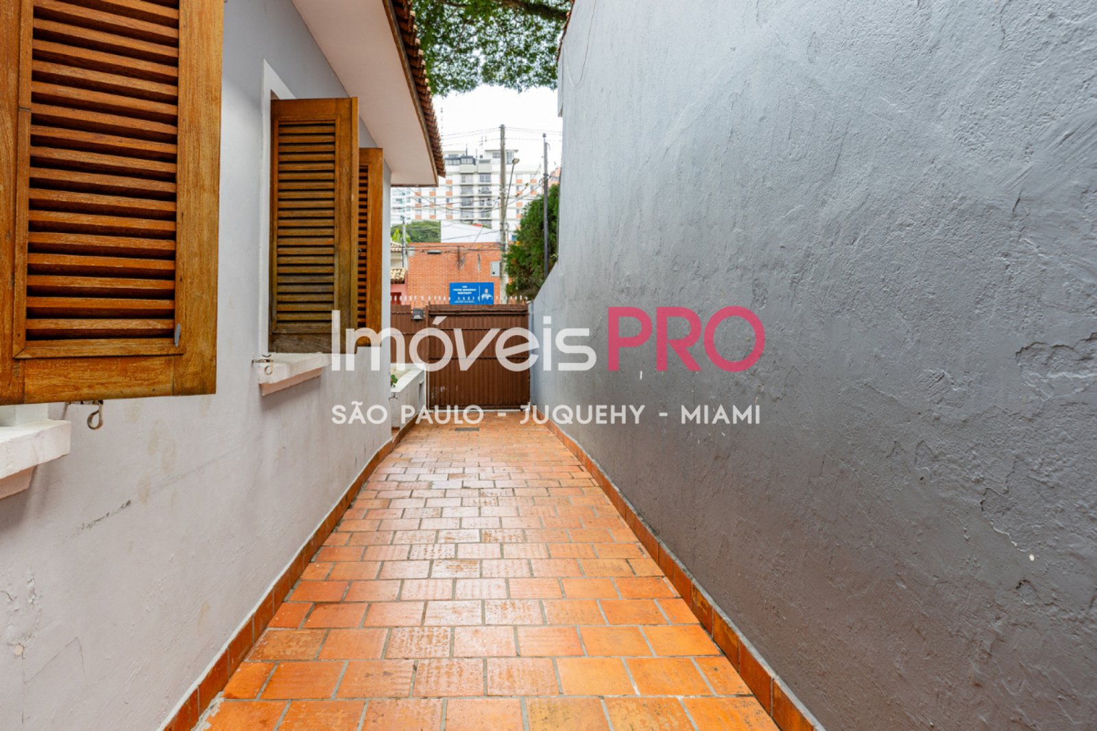 Foto :: IP39165