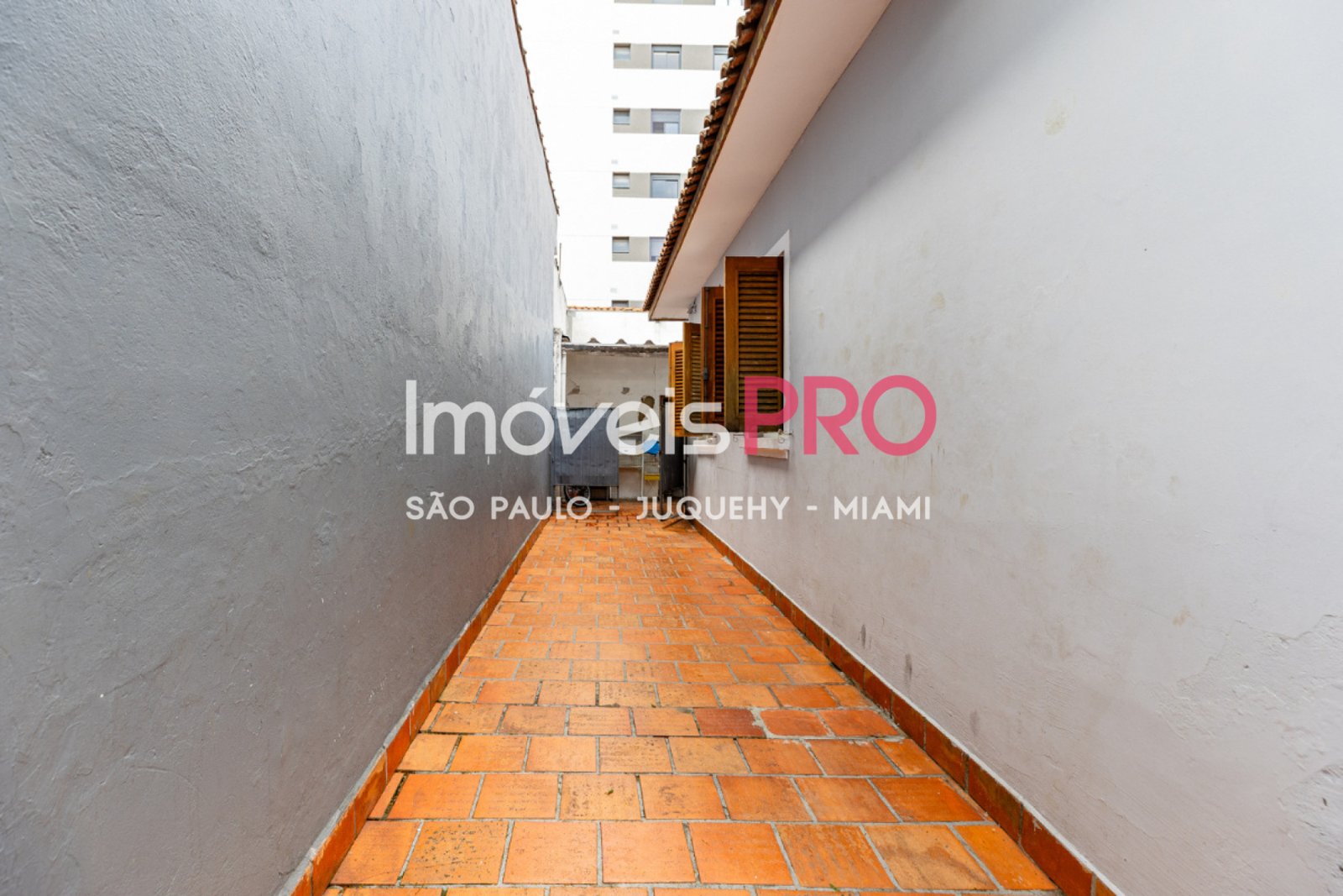 Foto :: IP39165