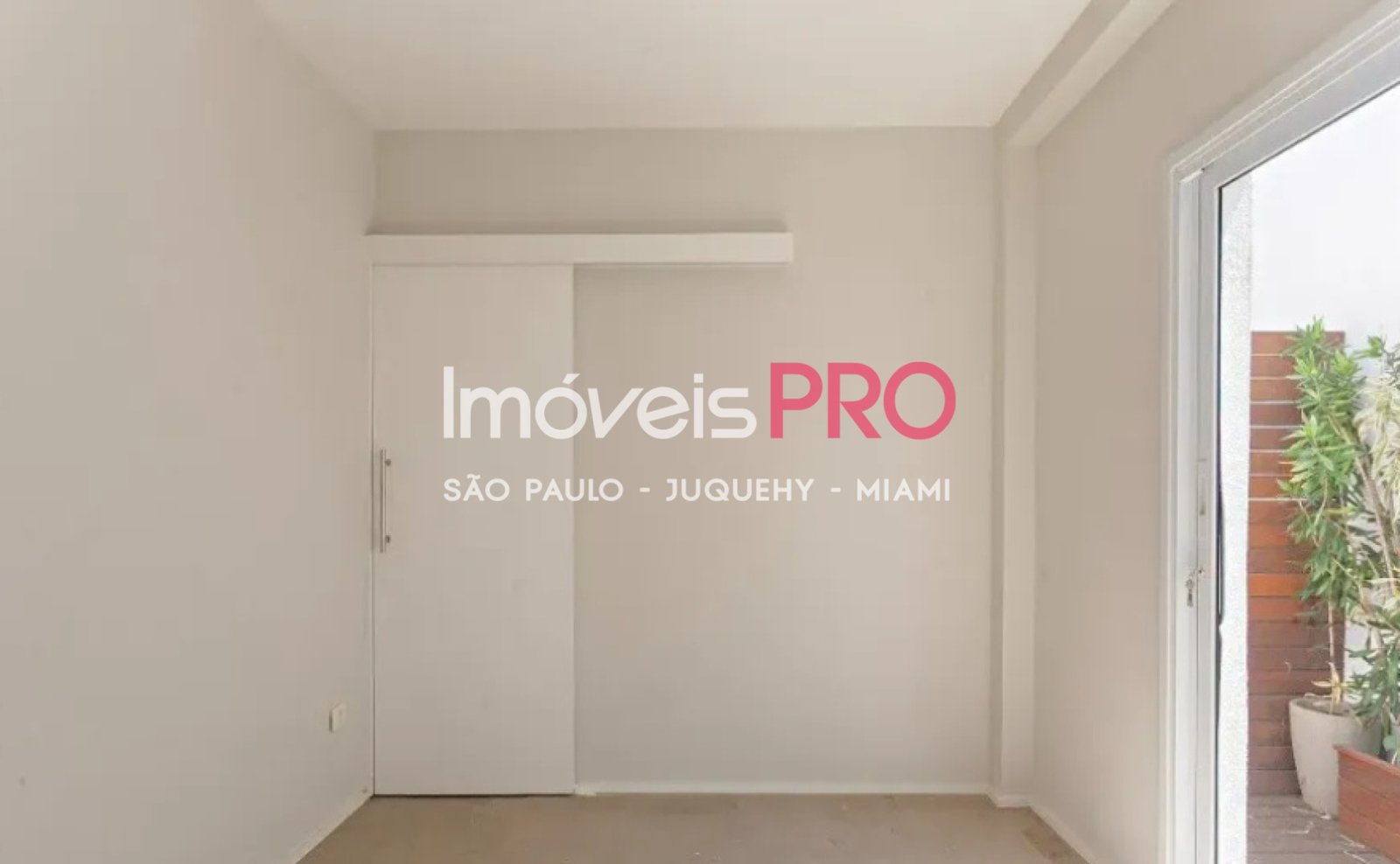 Foto :: IP39166