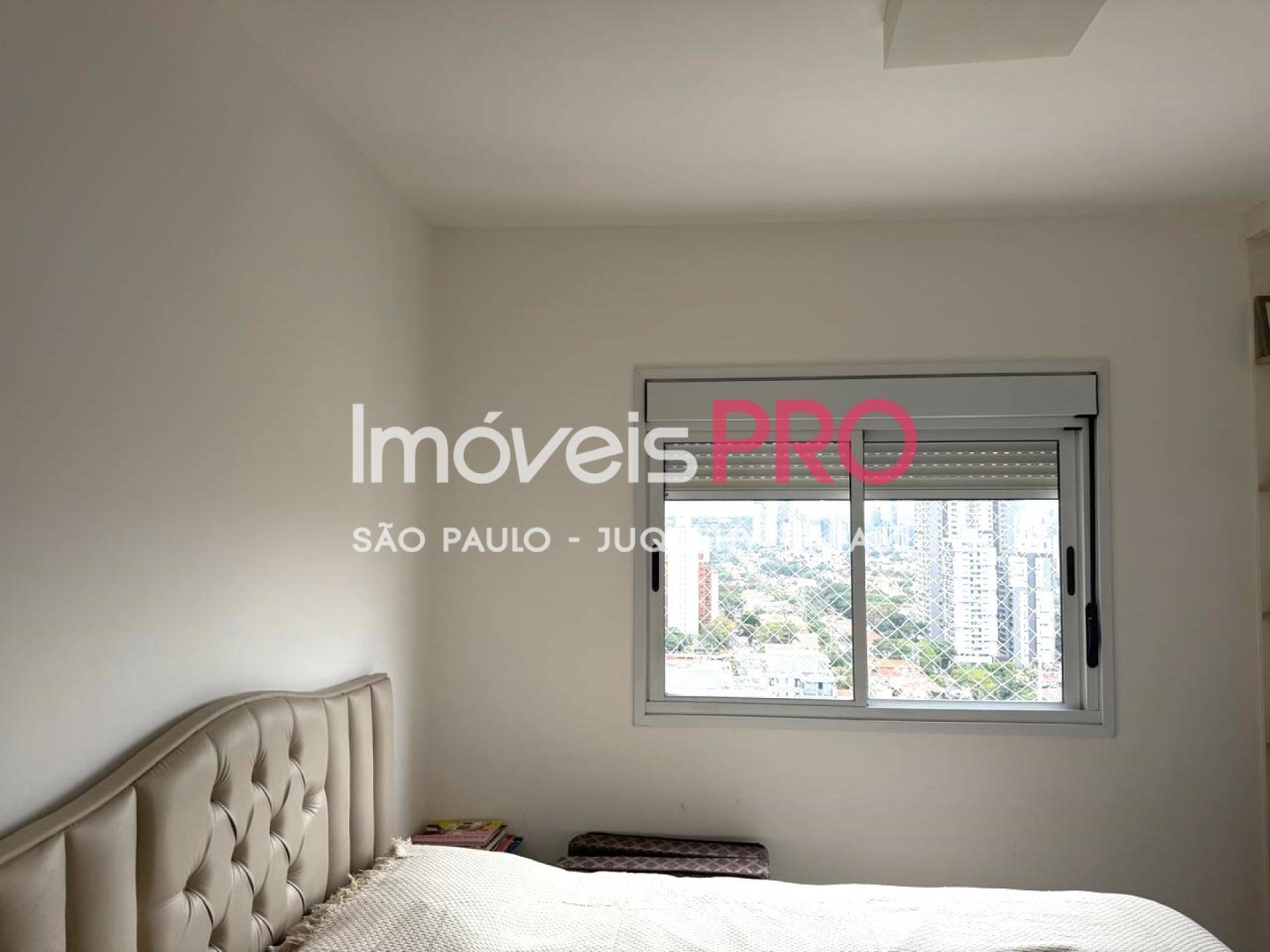 Foto :: IP39172