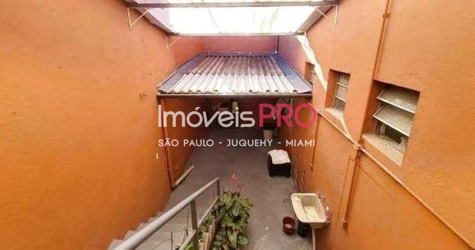 Foto :: IP39174