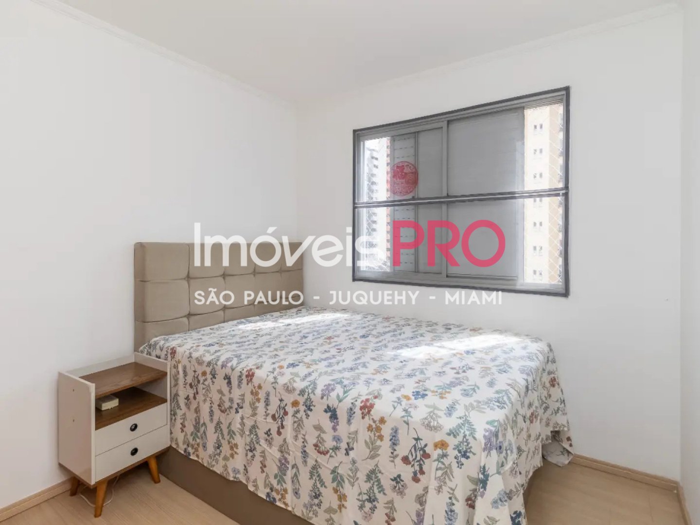 Foto :: IP39178