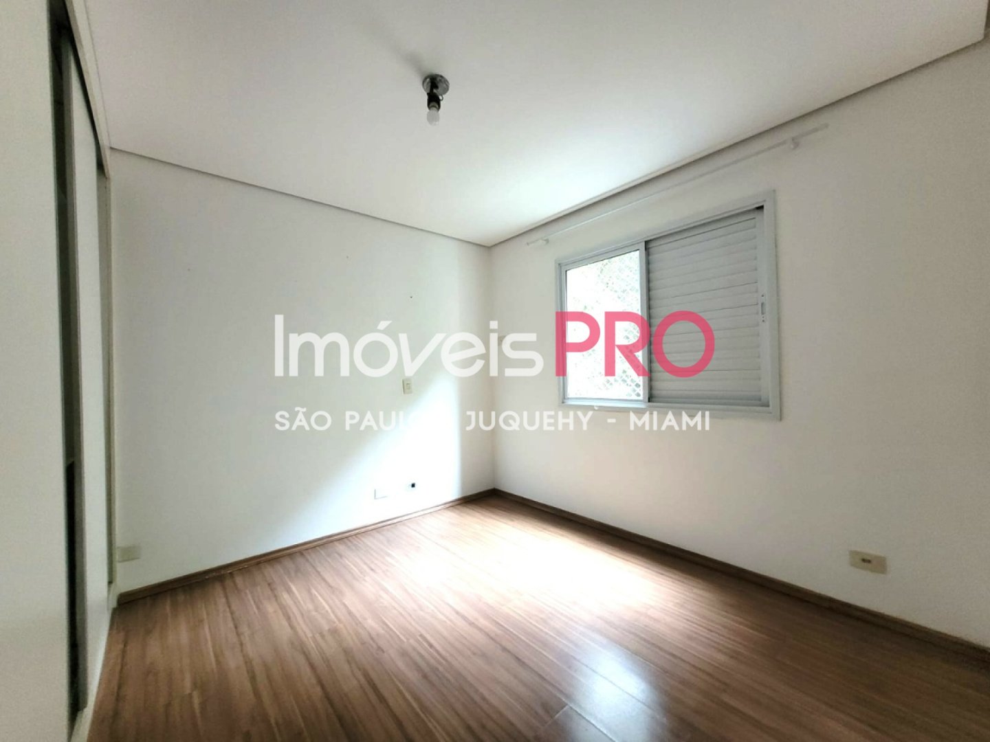Foto :: IP39183
