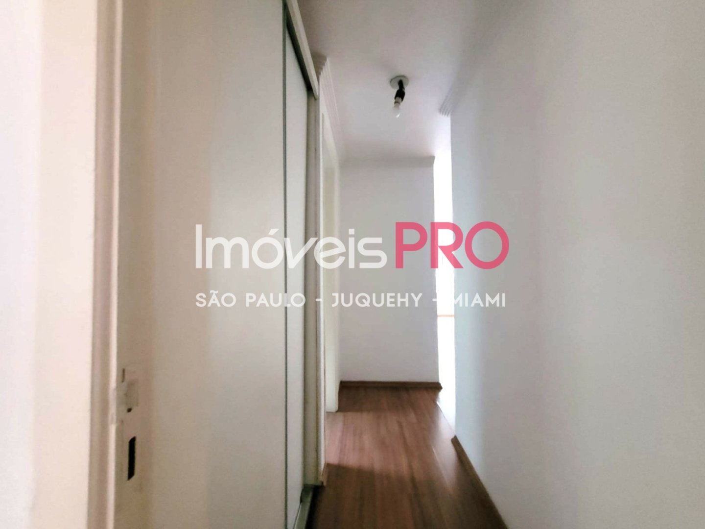 Foto :: IP39183