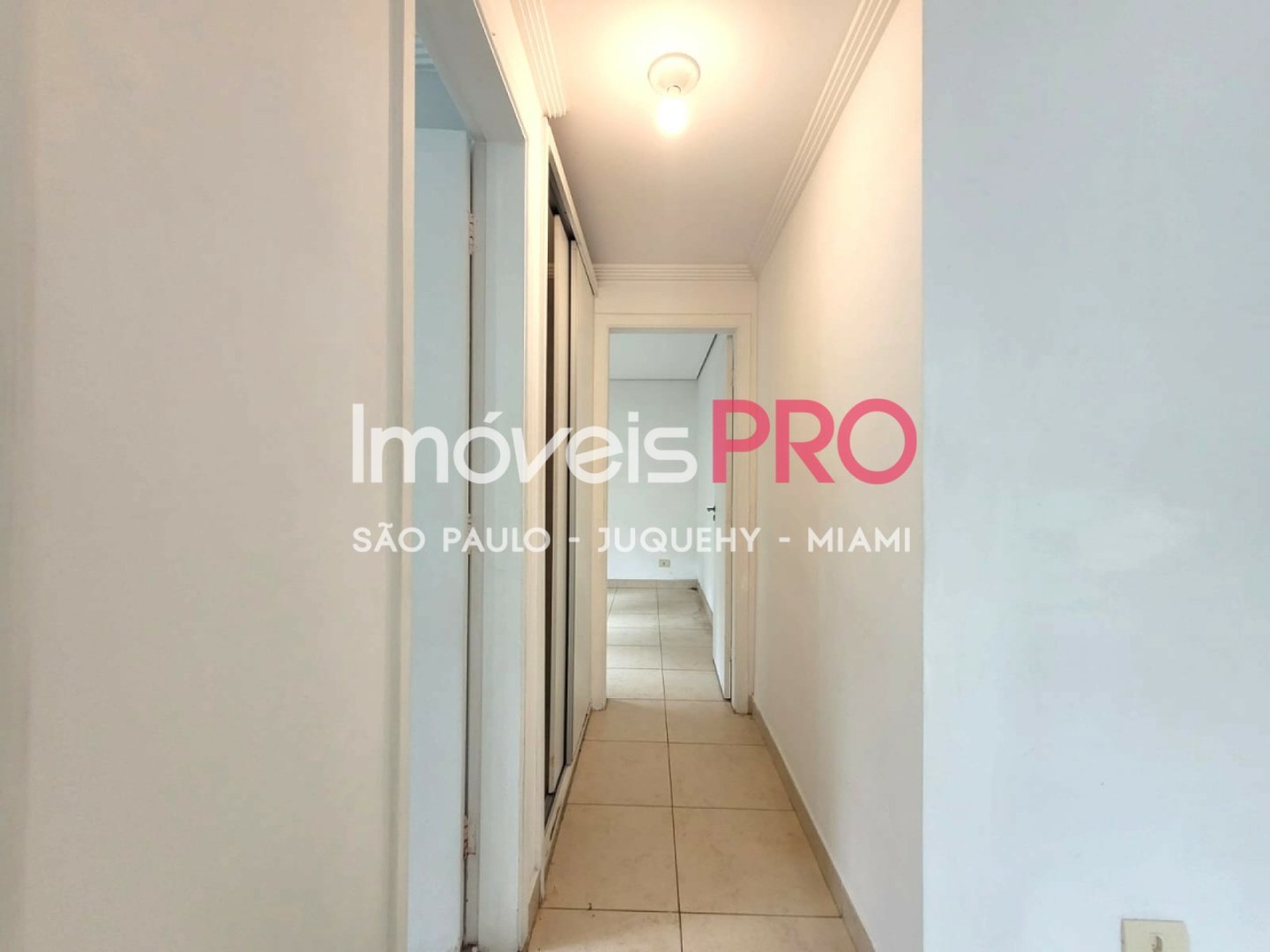 Foto :: IP39184