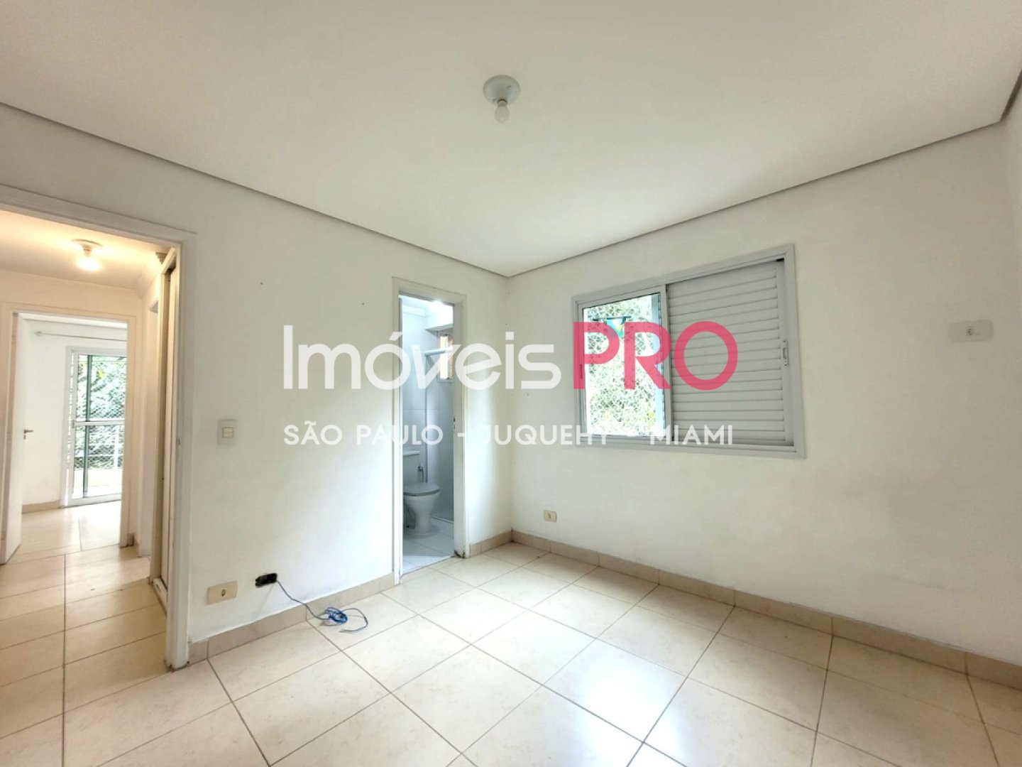 Foto :: IP39184
