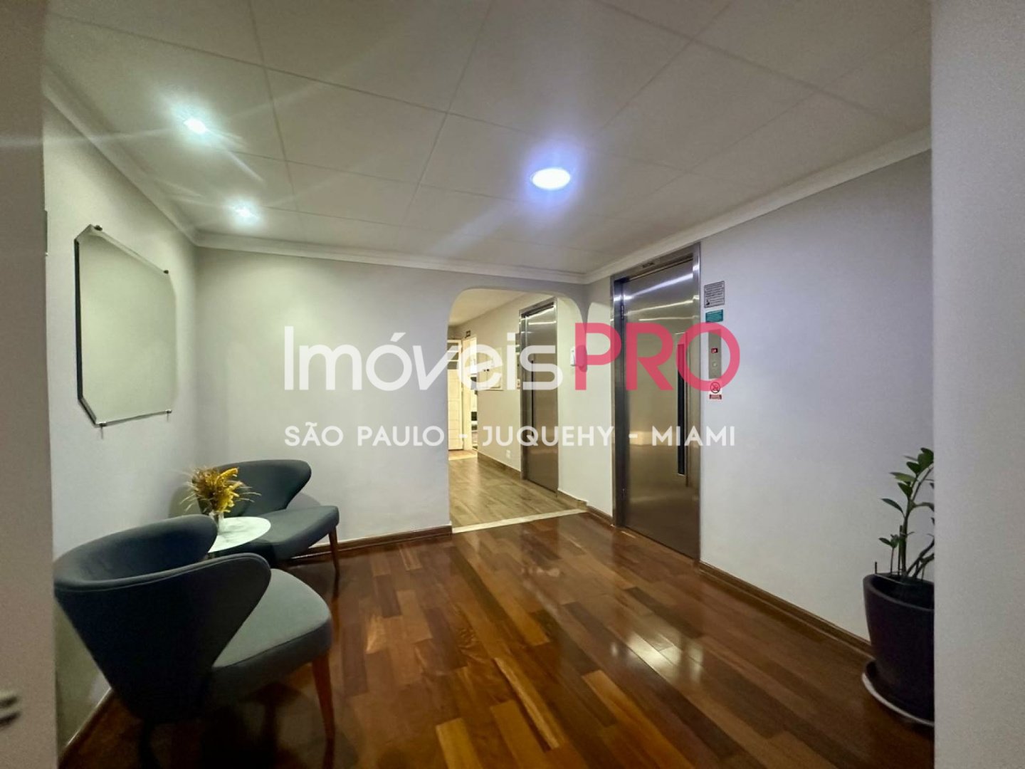 Foto :: IP39188