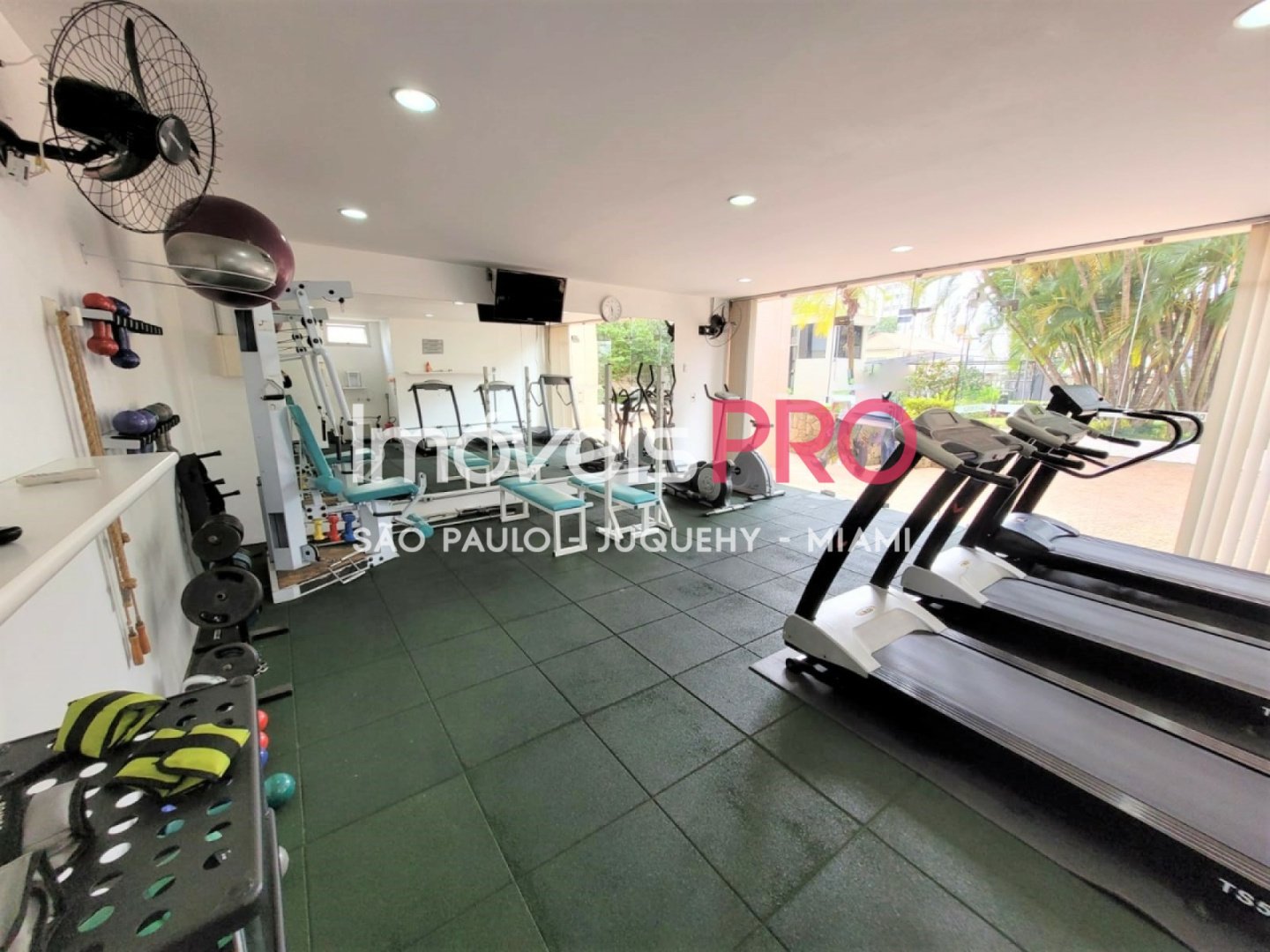 Foto :: IP39193