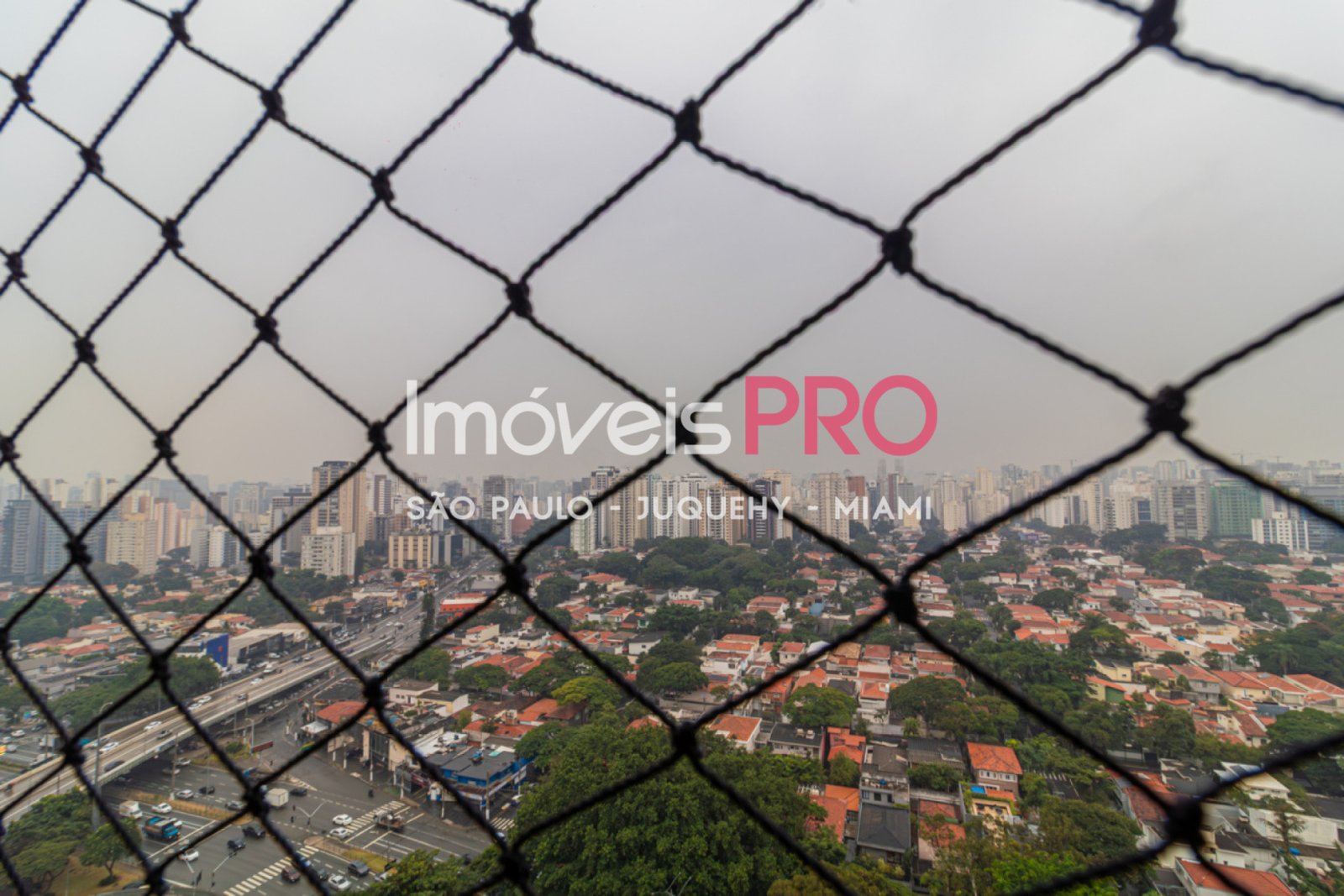 Foto :: IP39195