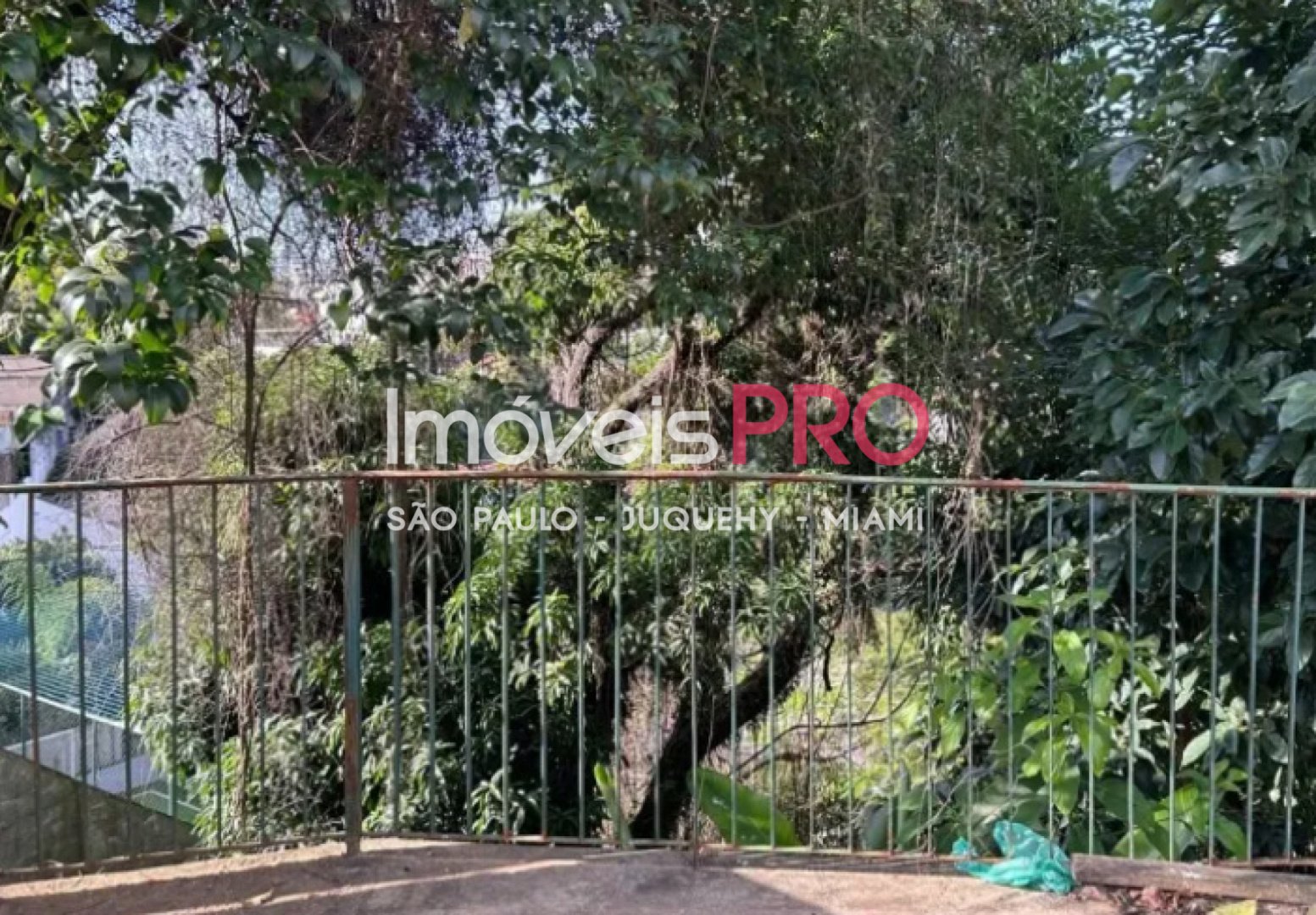 Foto :: IP39197