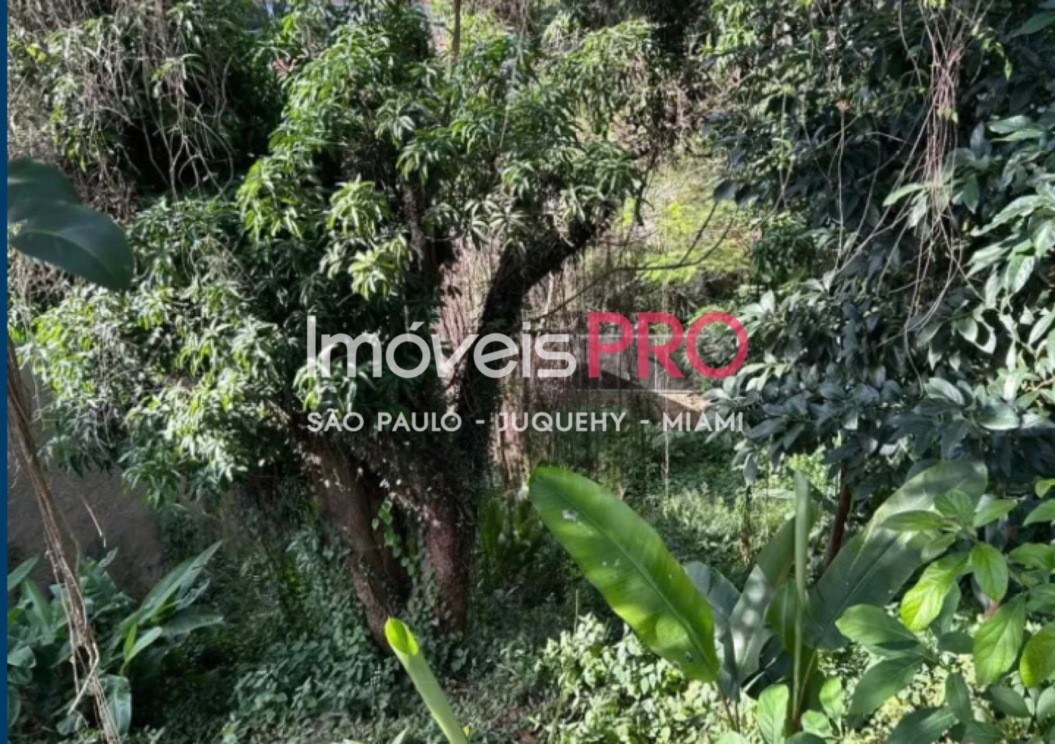 Terreno para Vender, Pacaembu | Cód: IP39197 — 
