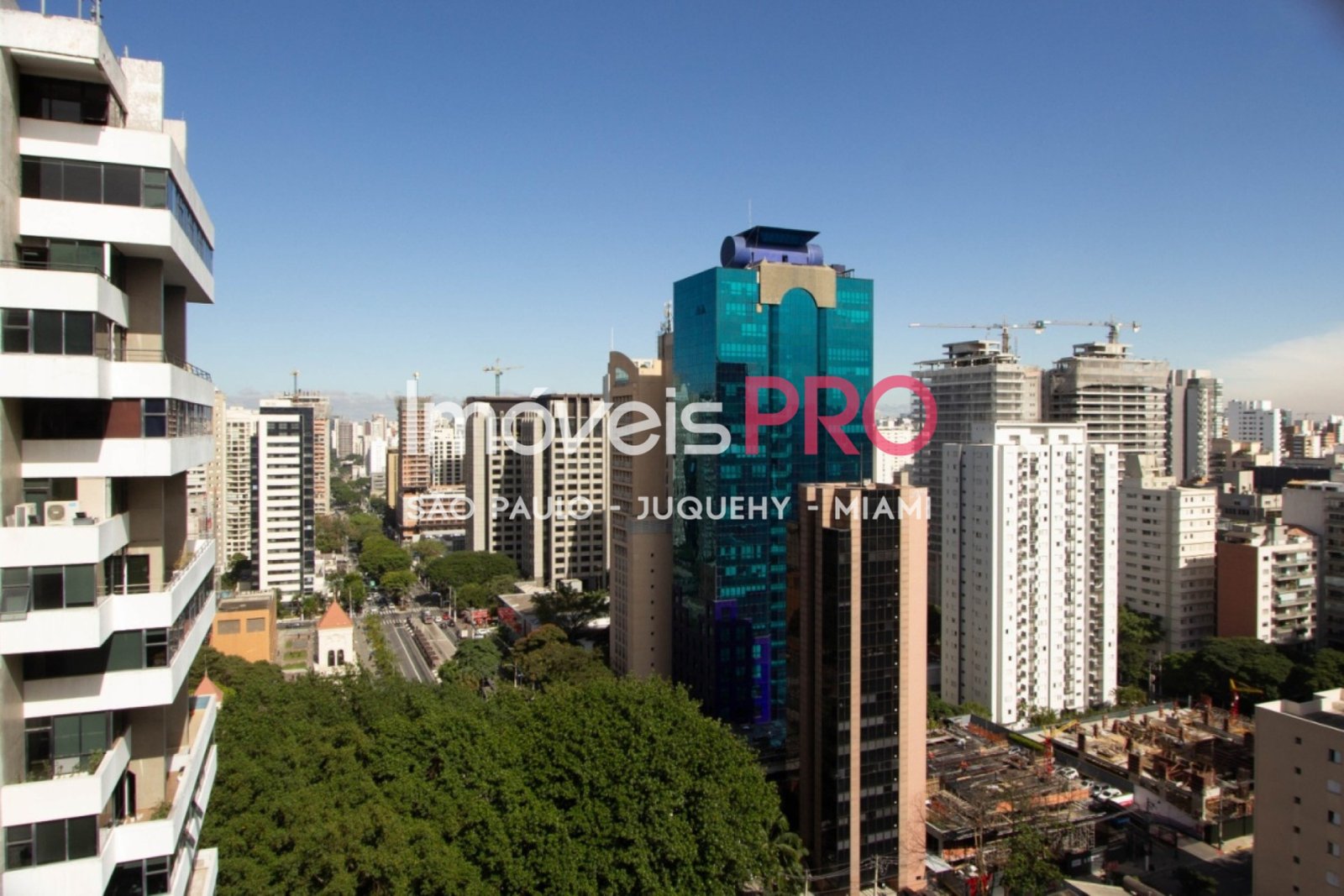 Foto :: IP39202