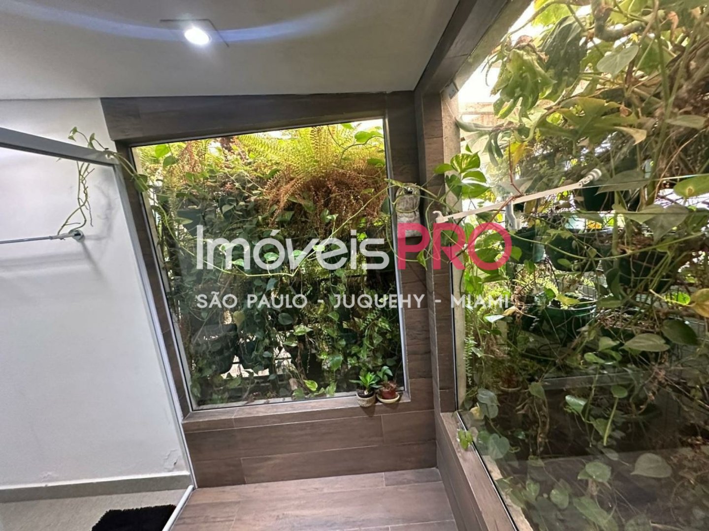 Foto :: IP39205