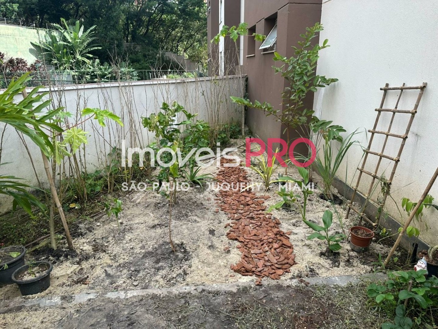 Foto :: IP39205