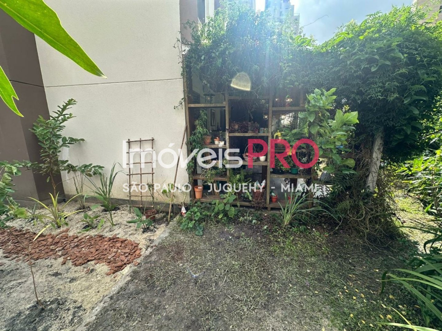 Foto :: IP39205