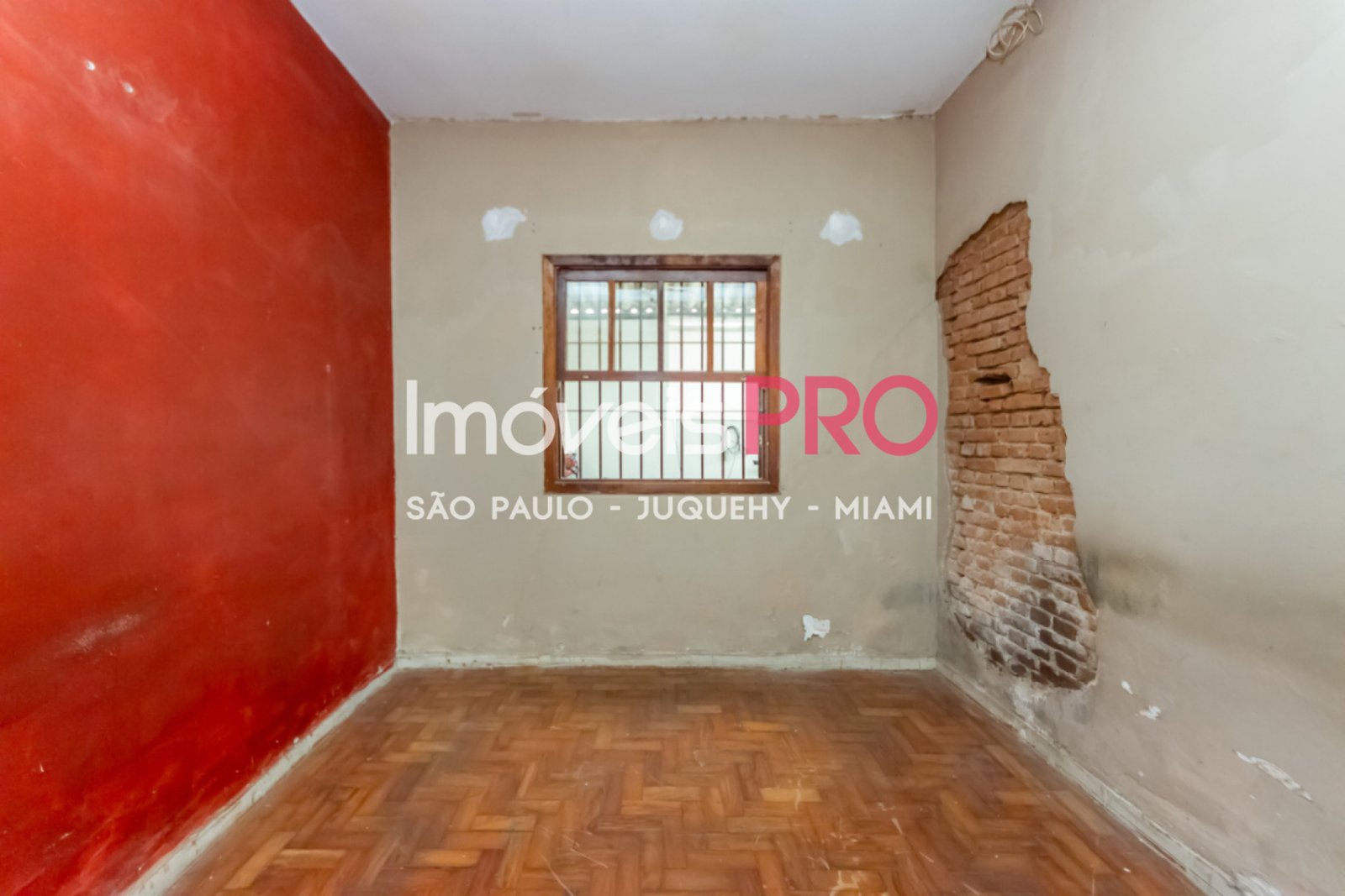 Foto :: IP39206