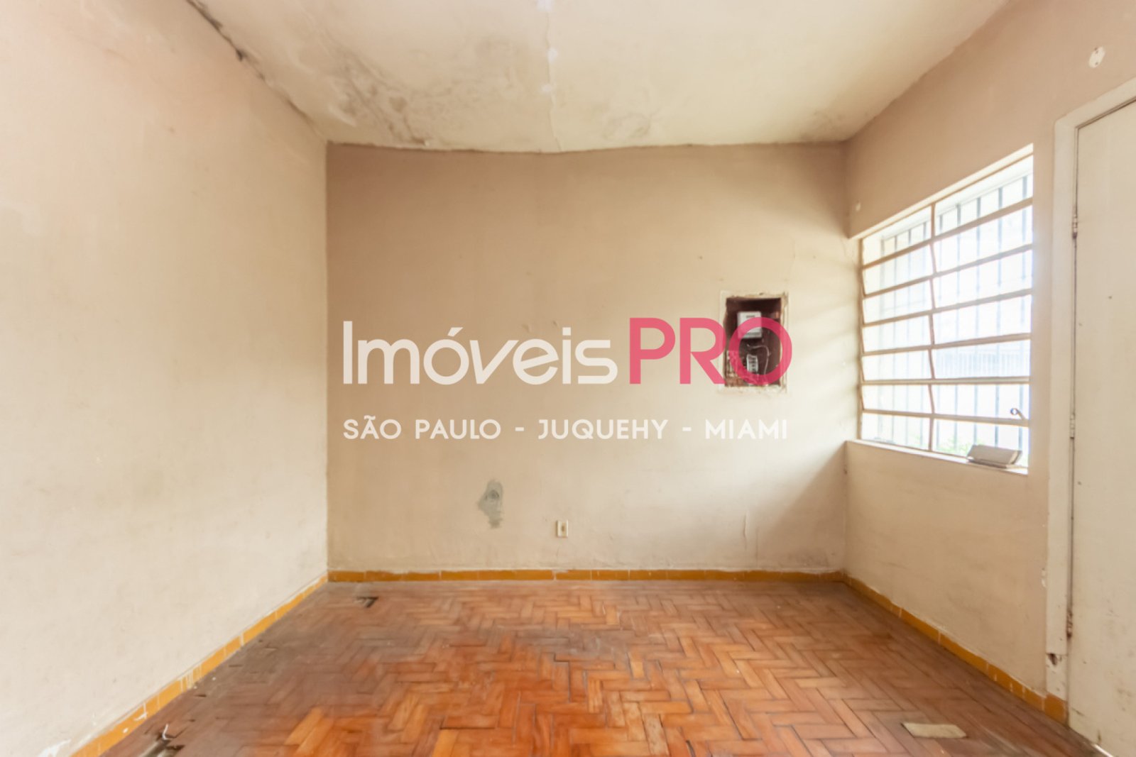 Foto :: IP39206
