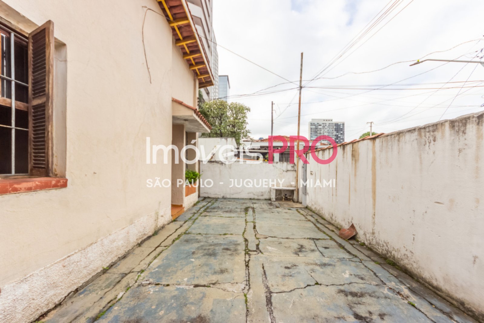 Foto :: IP39206