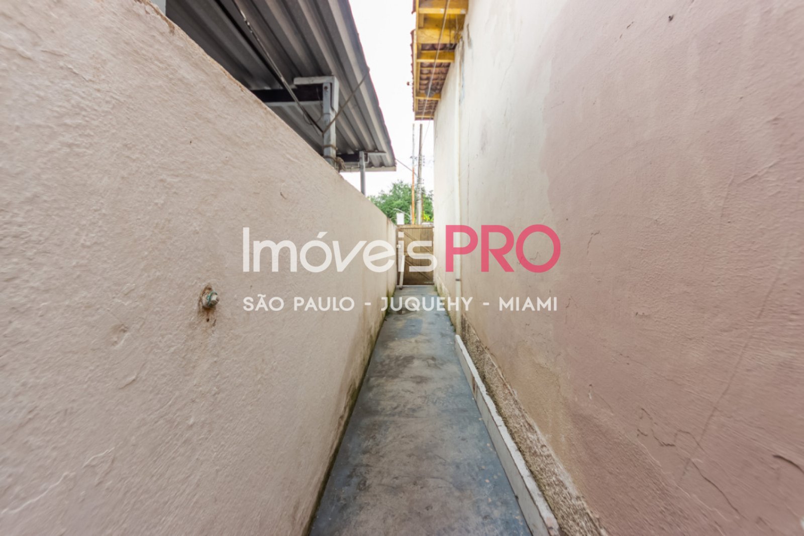 Foto :: IP39206