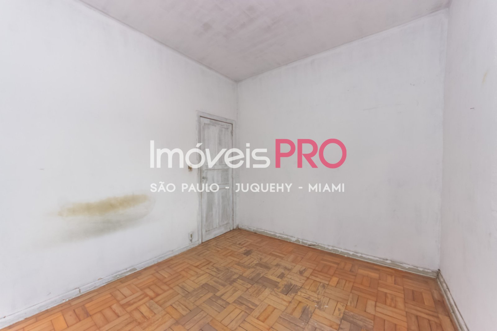 Foto :: IP39206