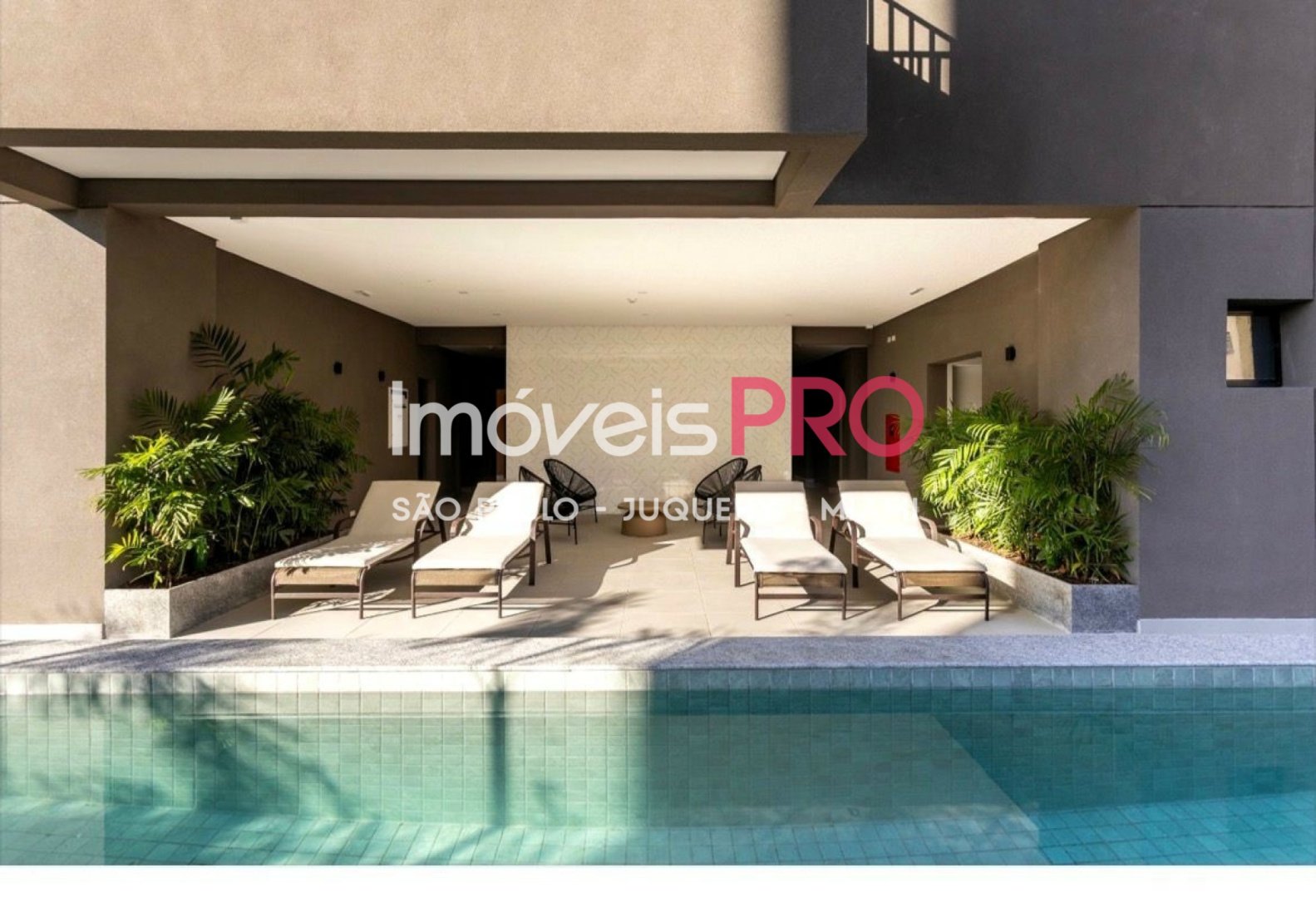 Foto :: IP39207