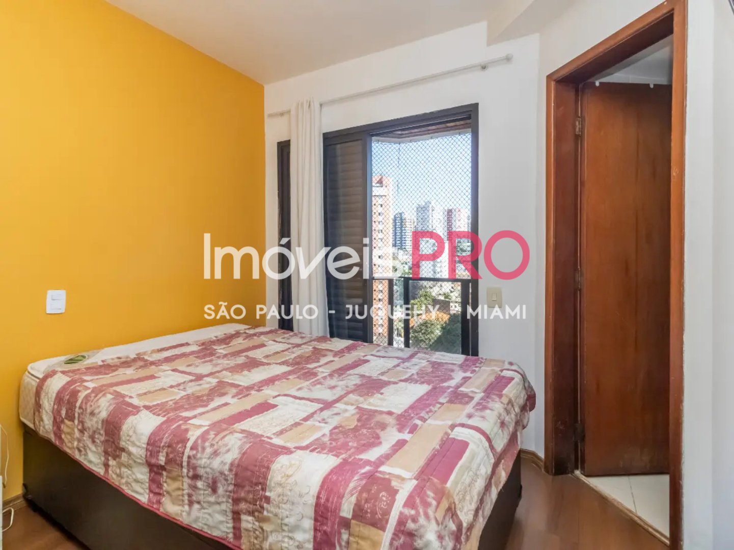 Foto :: IP39221