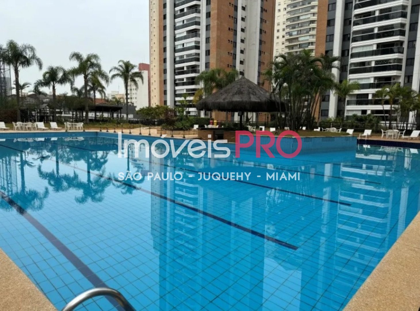 Foto :: IP39223