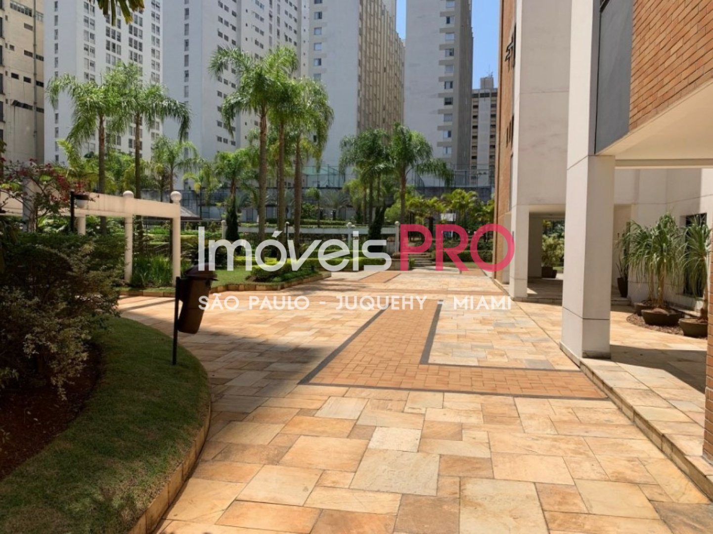 Foto :: IP39223