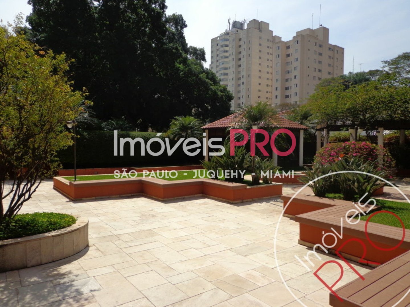 Foto :: IP39237