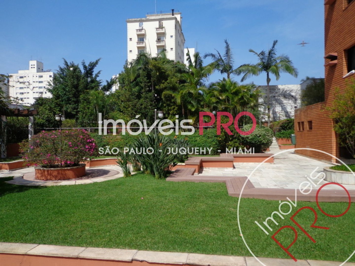 Foto :: IP39237