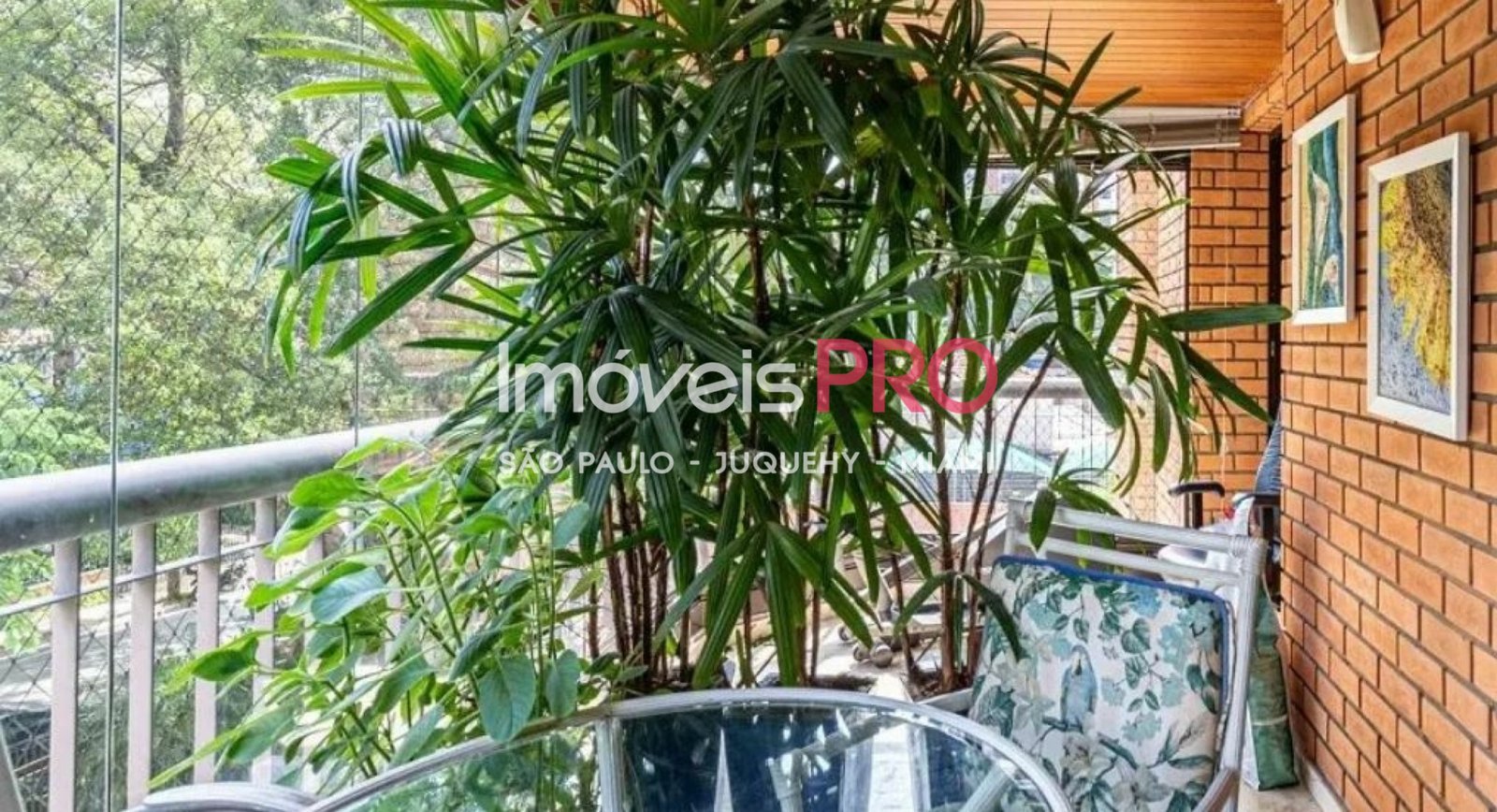 Foto :: IP39237