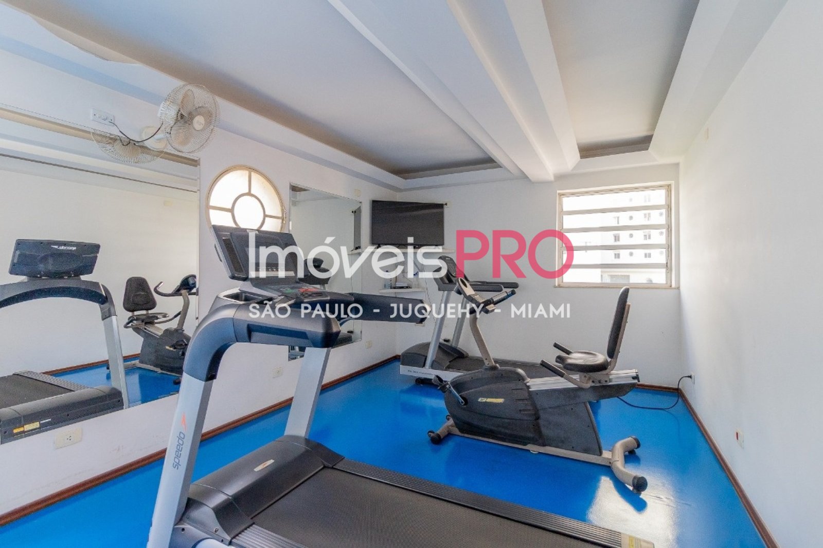 Foto :: IP39240
