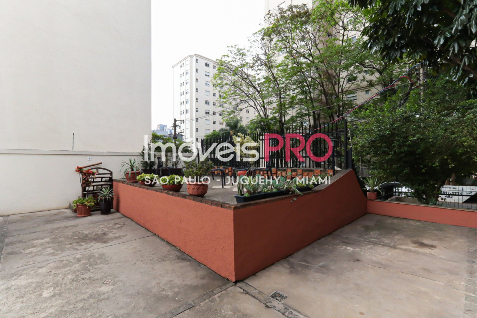 Foto :: IP39245