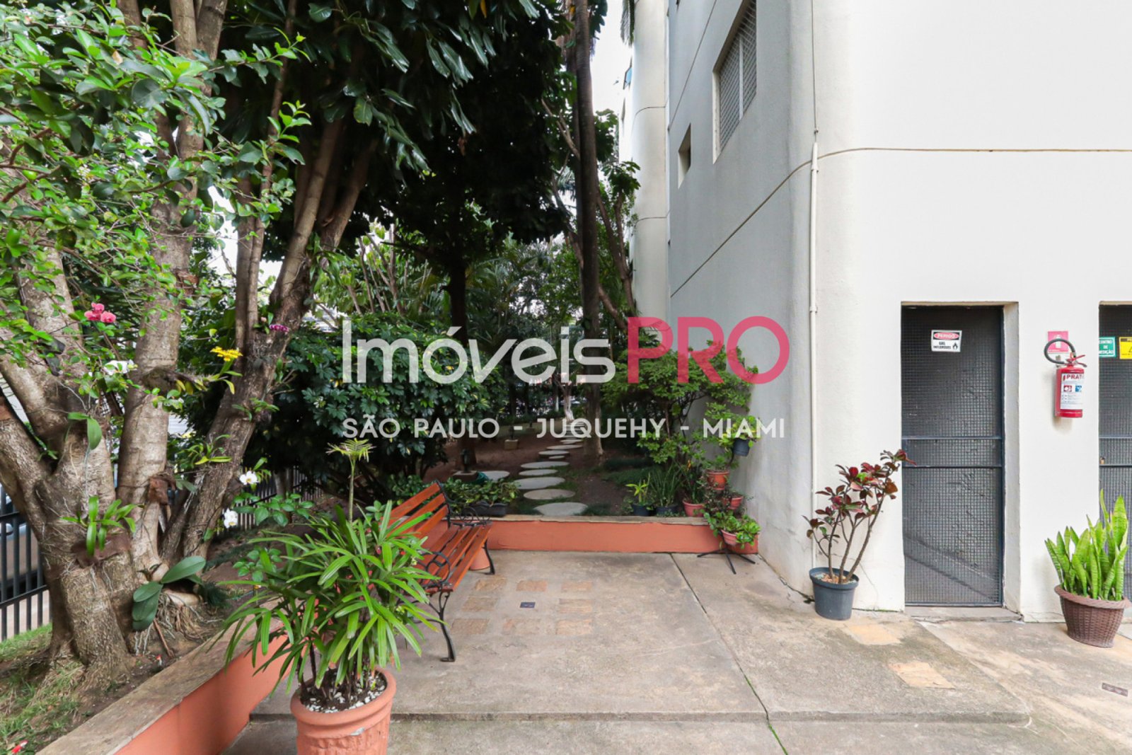 Foto :: IP39245