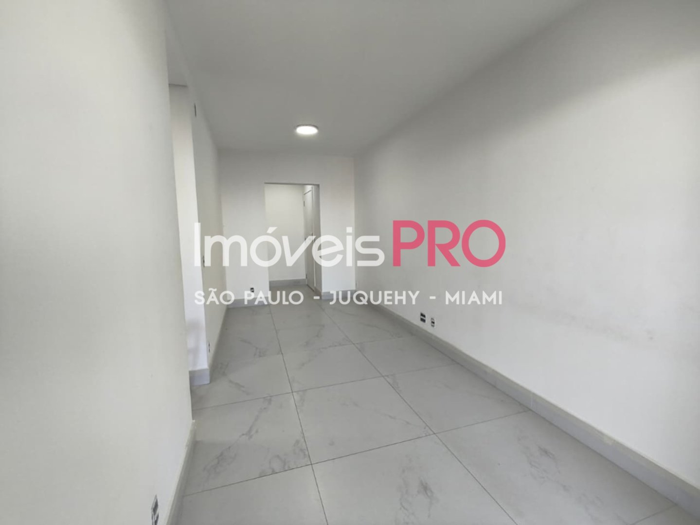Foto :: IP39247