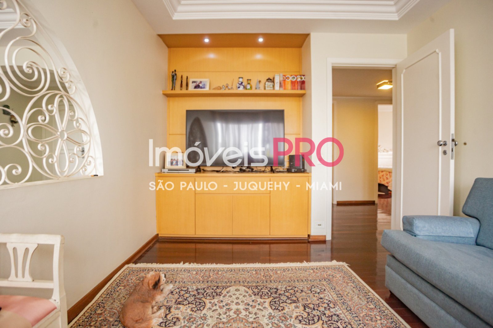 Foto :: IP39262