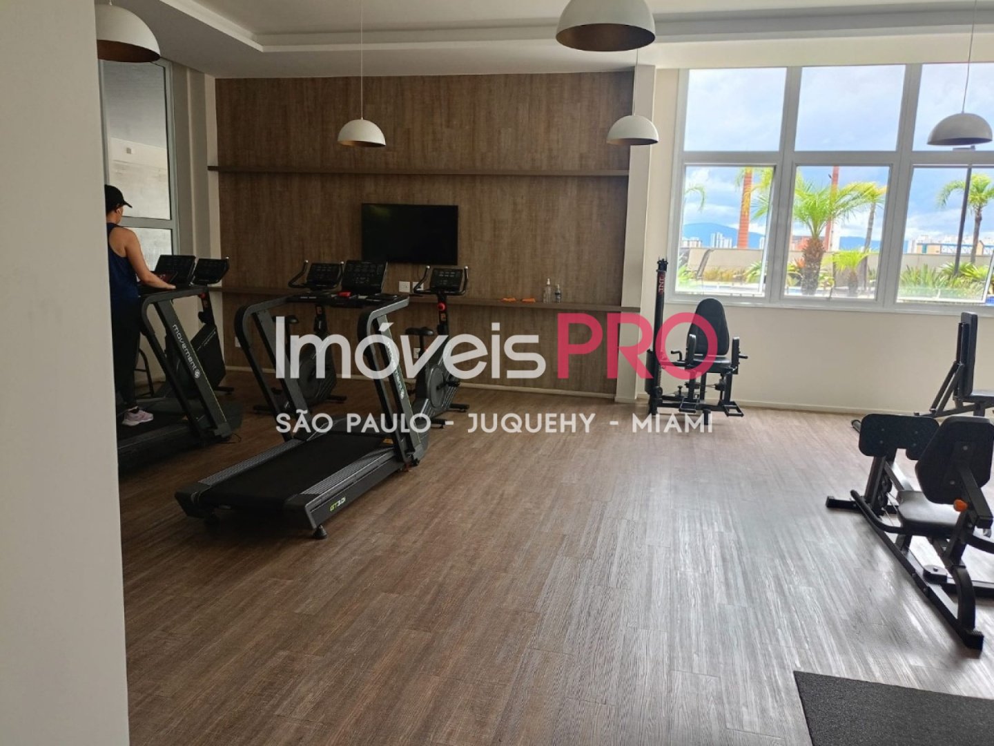 Foto :: IP39263