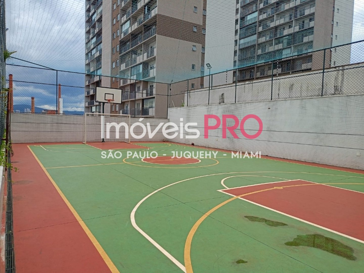 Foto :: IP39263