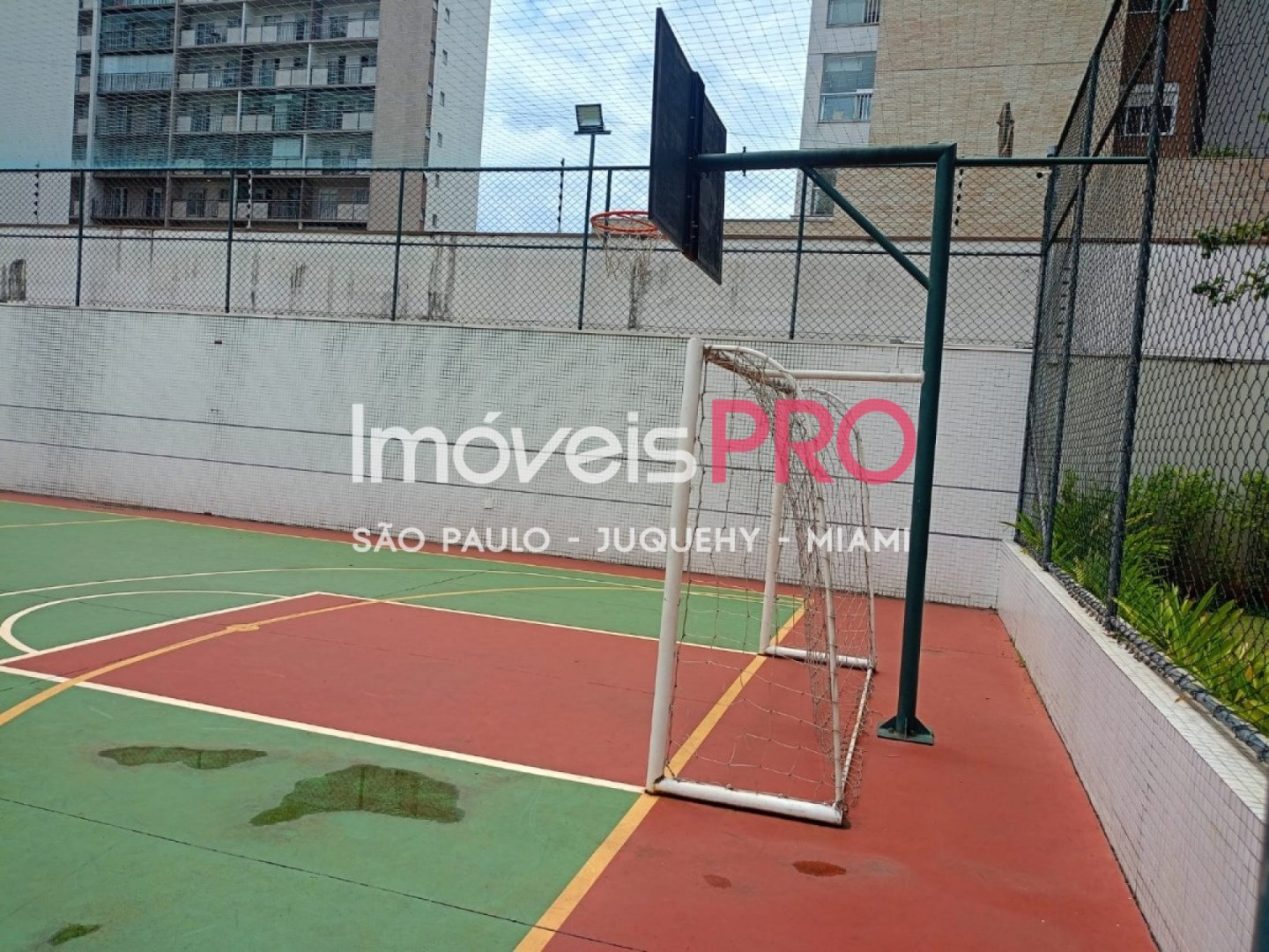 Foto :: IP39263
