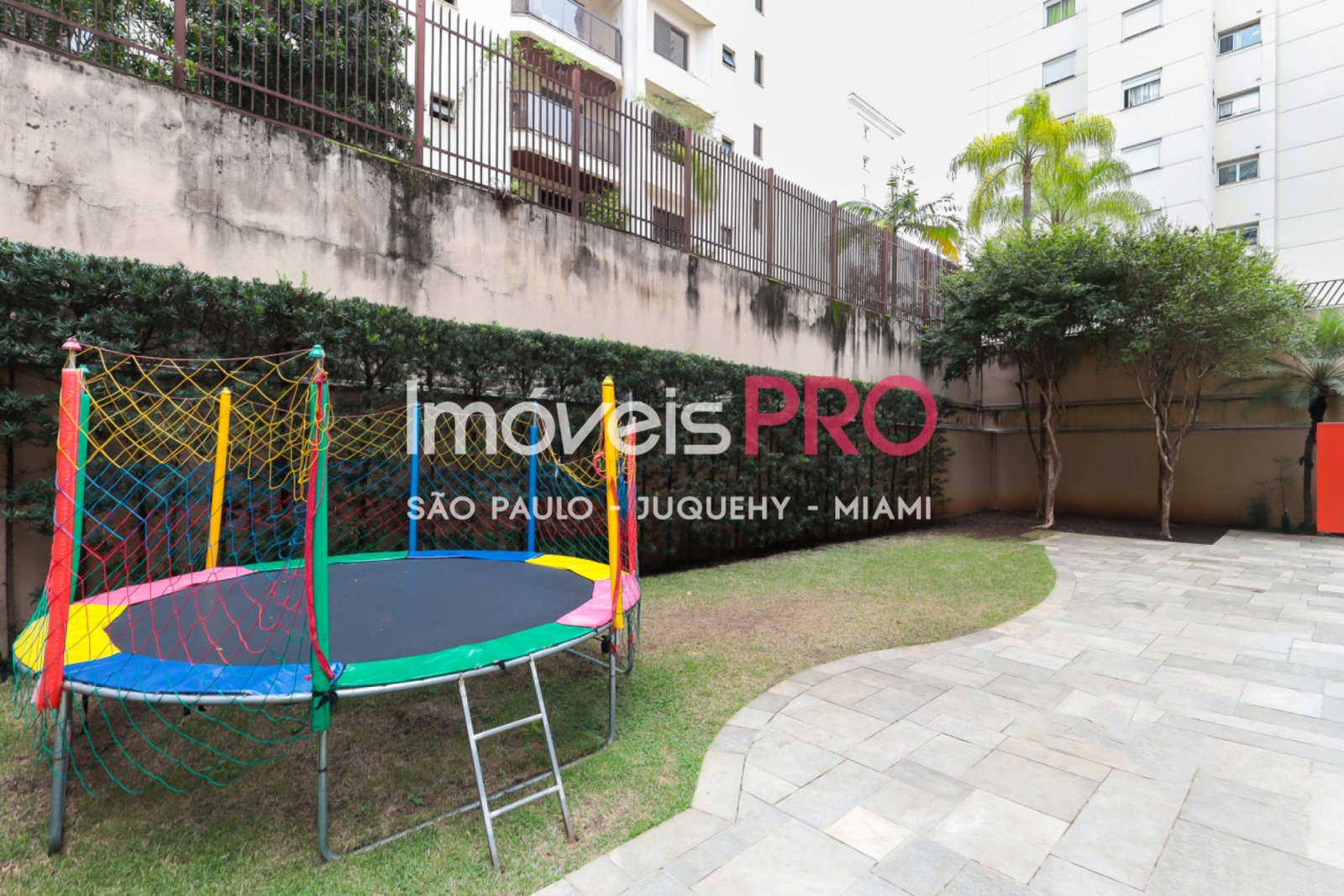 Foto :: IP39264
