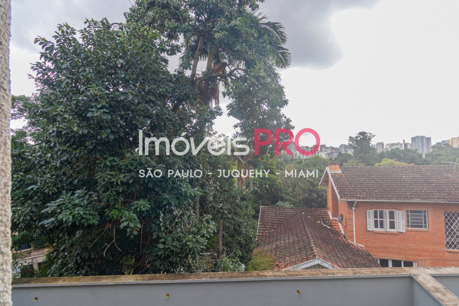 Foto :: IP39271