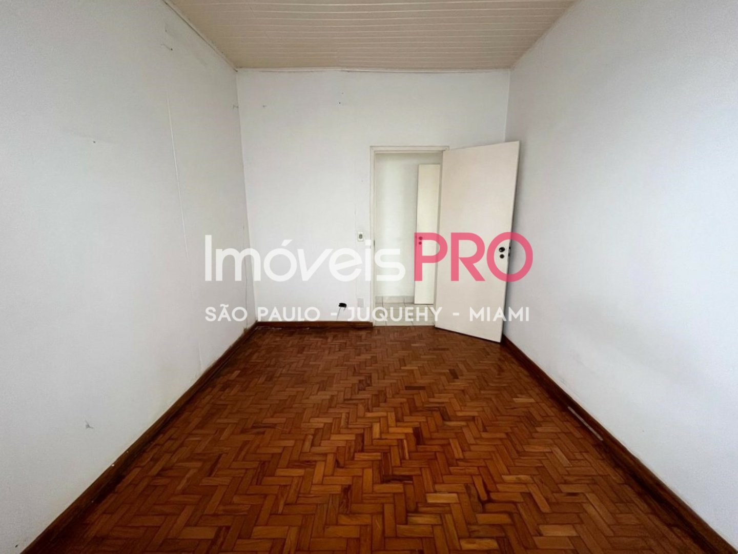 Foto :: IP39276