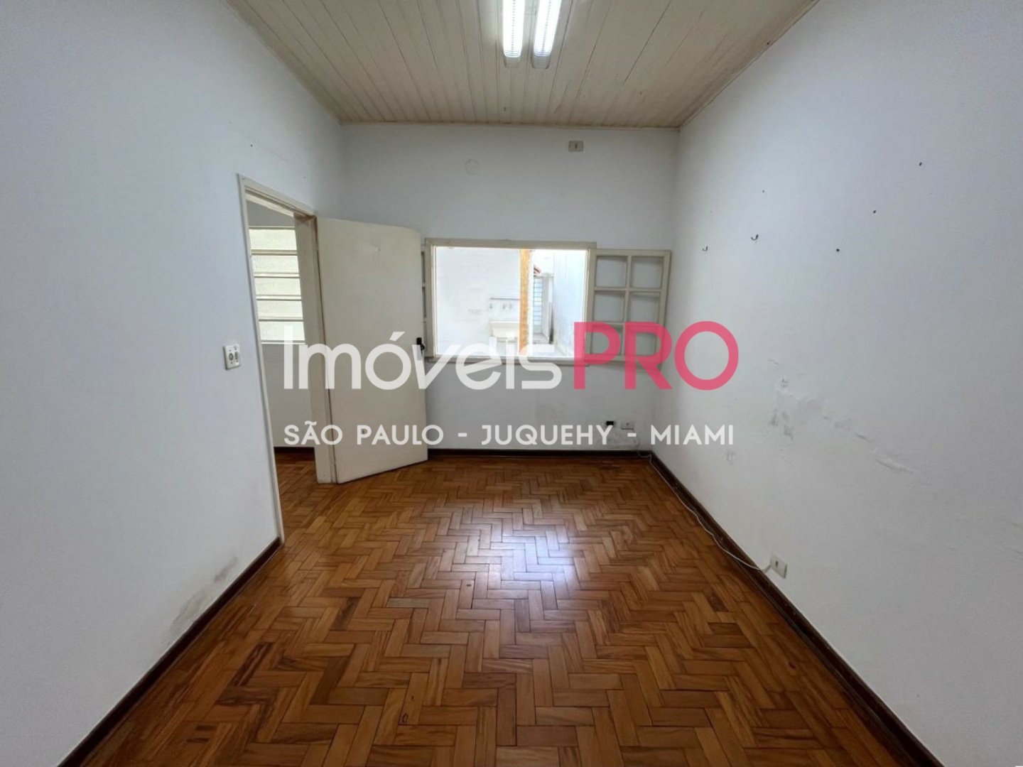 Foto :: IP39276