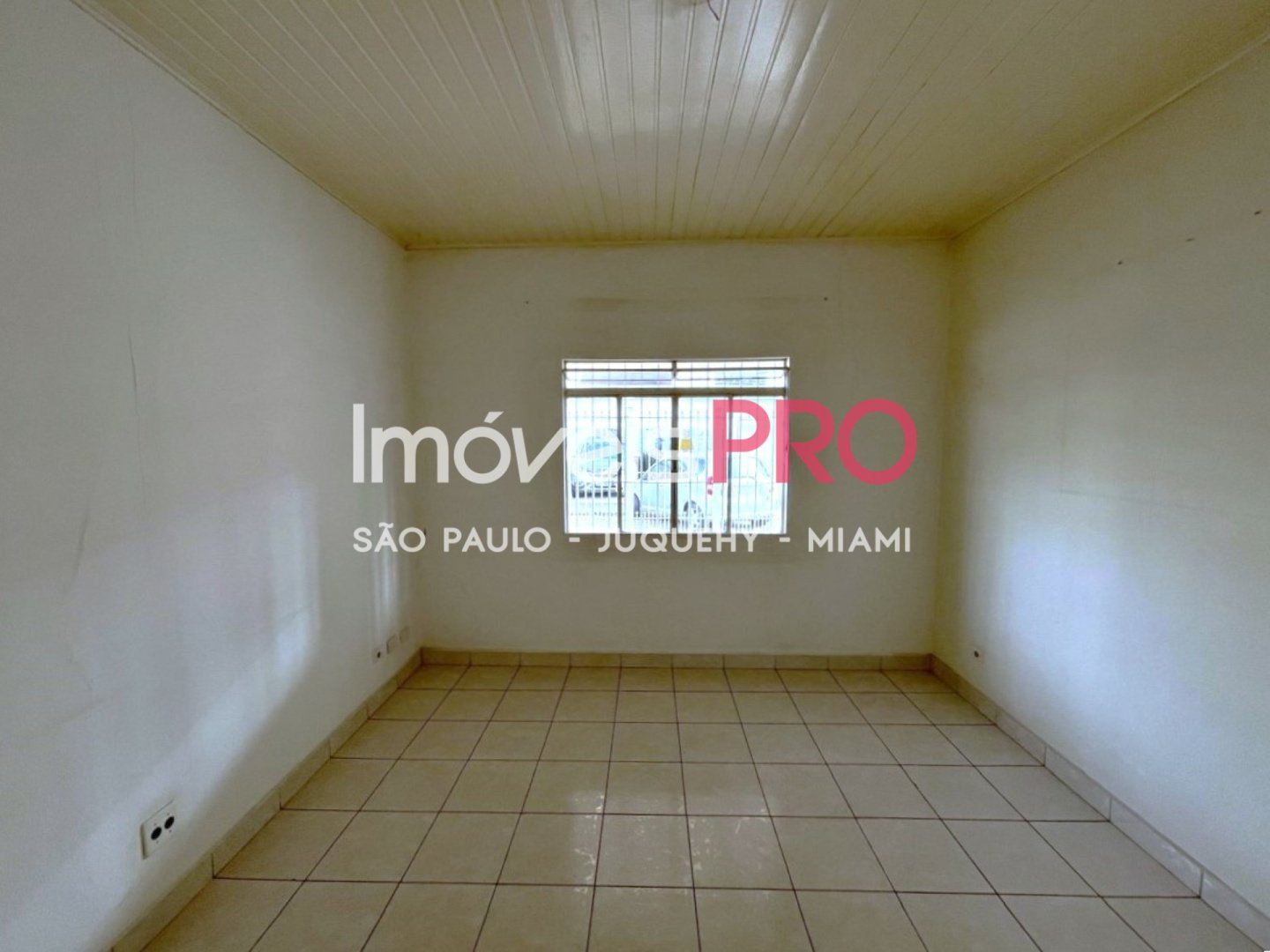 Foto :: IP39276