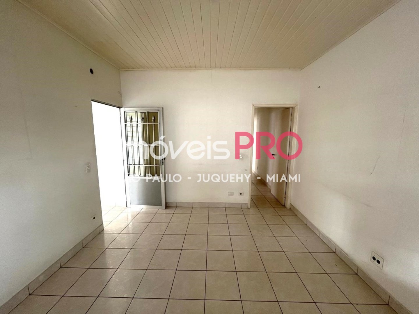 Foto :: IP39276