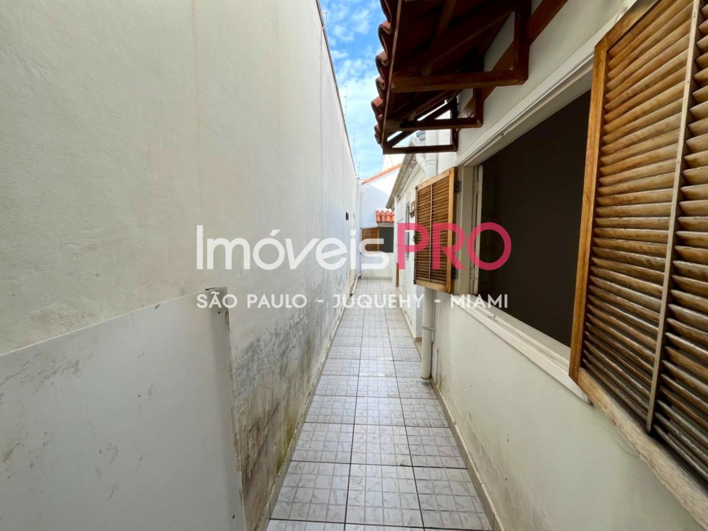 Foto :: IP39276